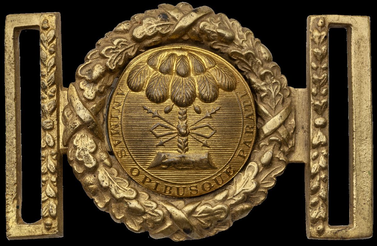 The Palmetto Armory Pistols of William Glaze — photograph 8 from the original article