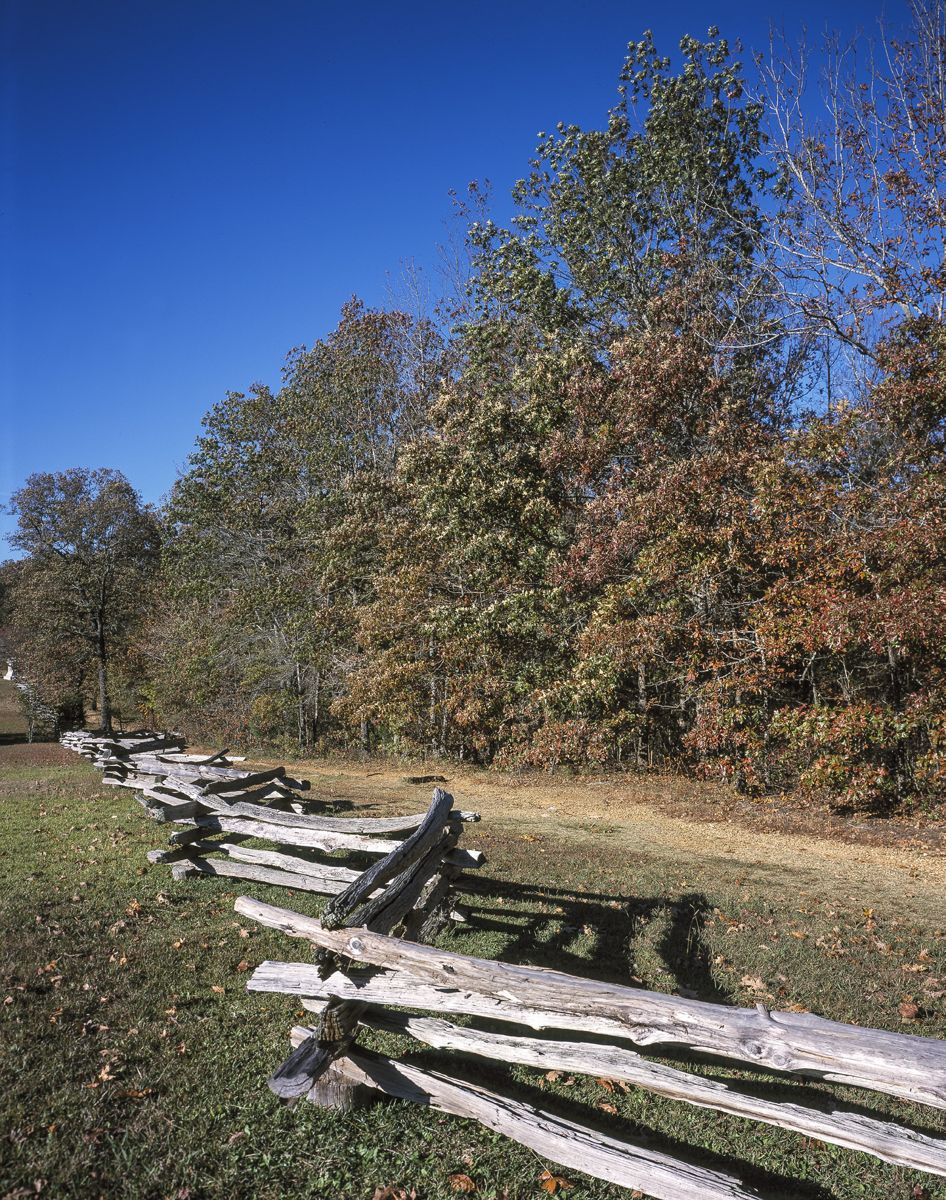 Sherman and His Sword at Shiloh — photograph 4 from the original article