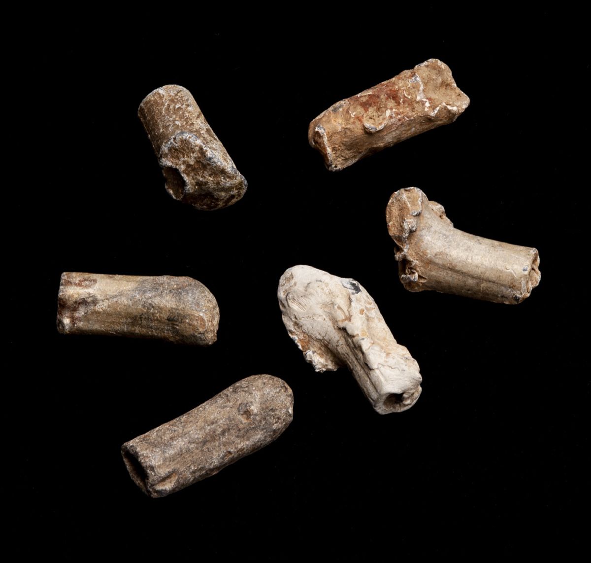 Whitworth Rifle Accounts — photograph 2 from the original article