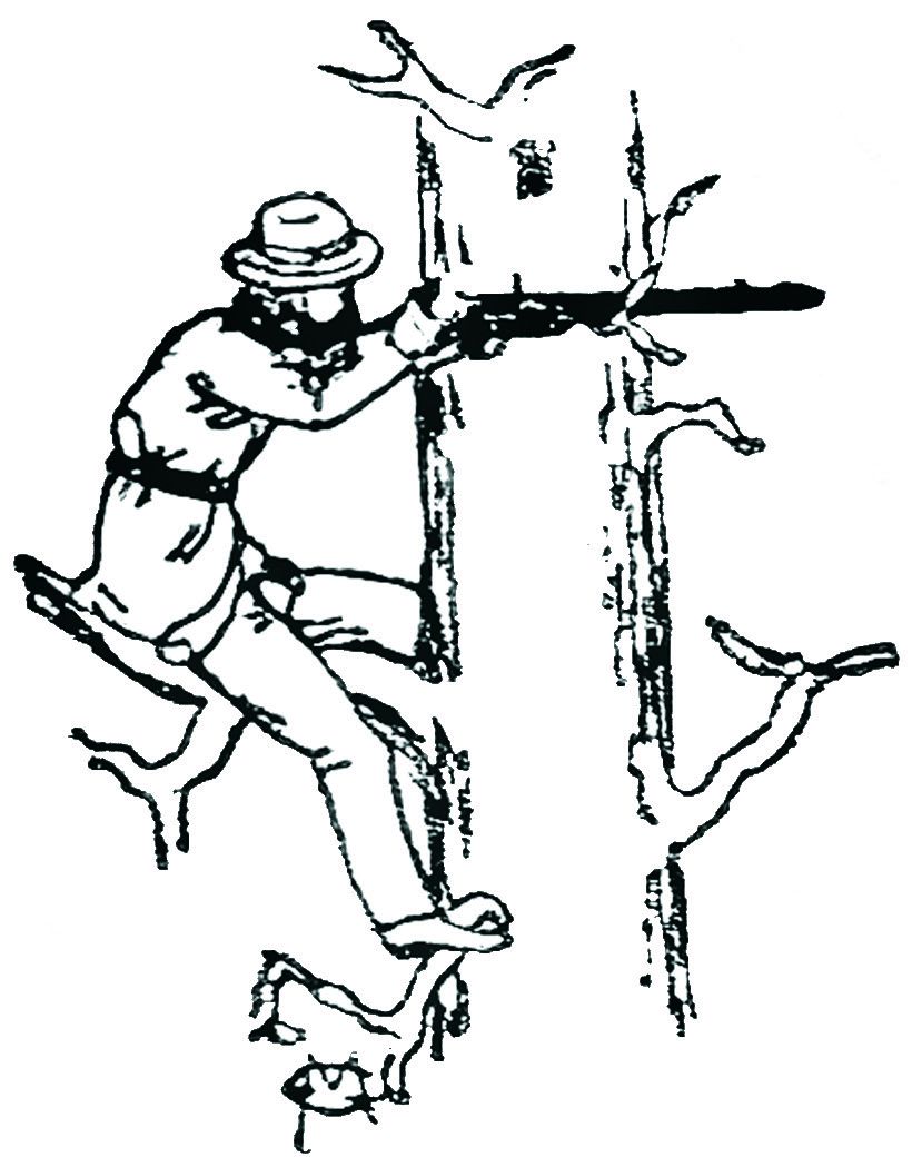 Whitworth Rifle Accounts — photograph 9 from the original article