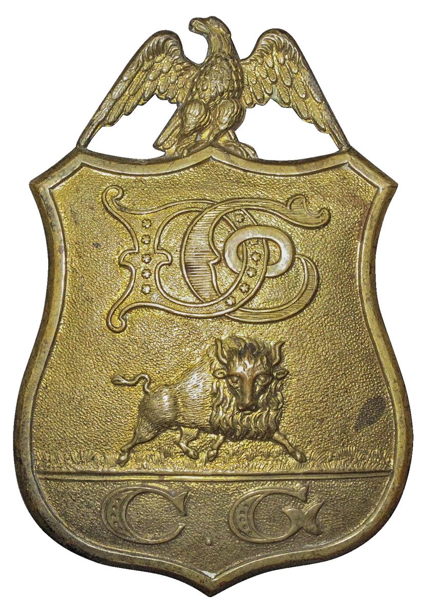 Buffalo City Guards Rolling Block — photograph 4 from the original article