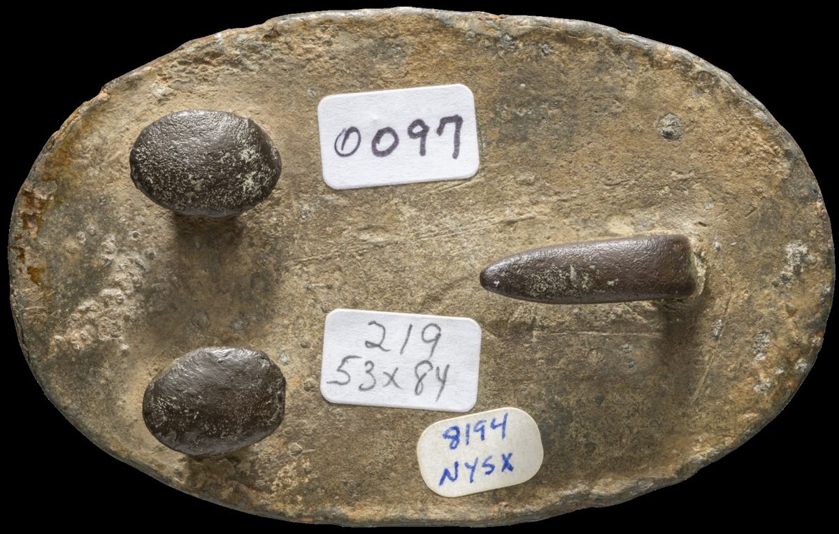 Confederate Oval State Plates — photograph 8 from the original article