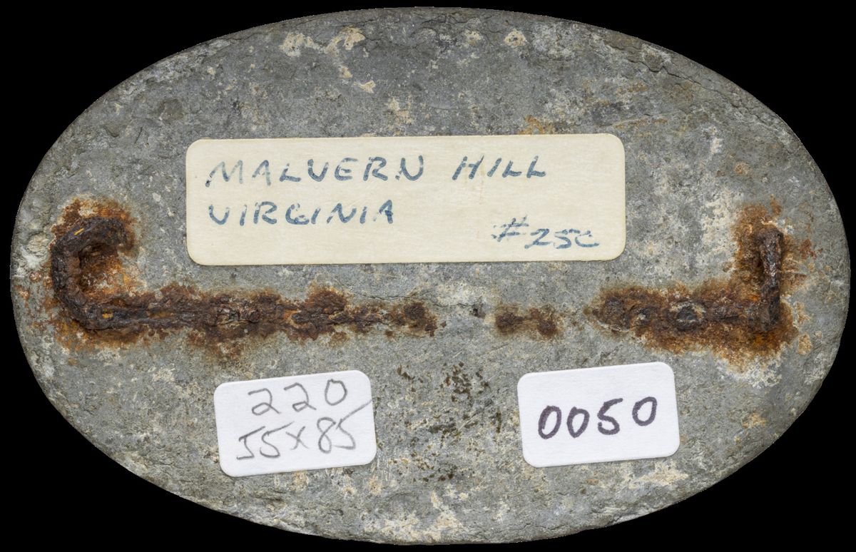 Confederate Oval State Plates — photograph 10 from the original article